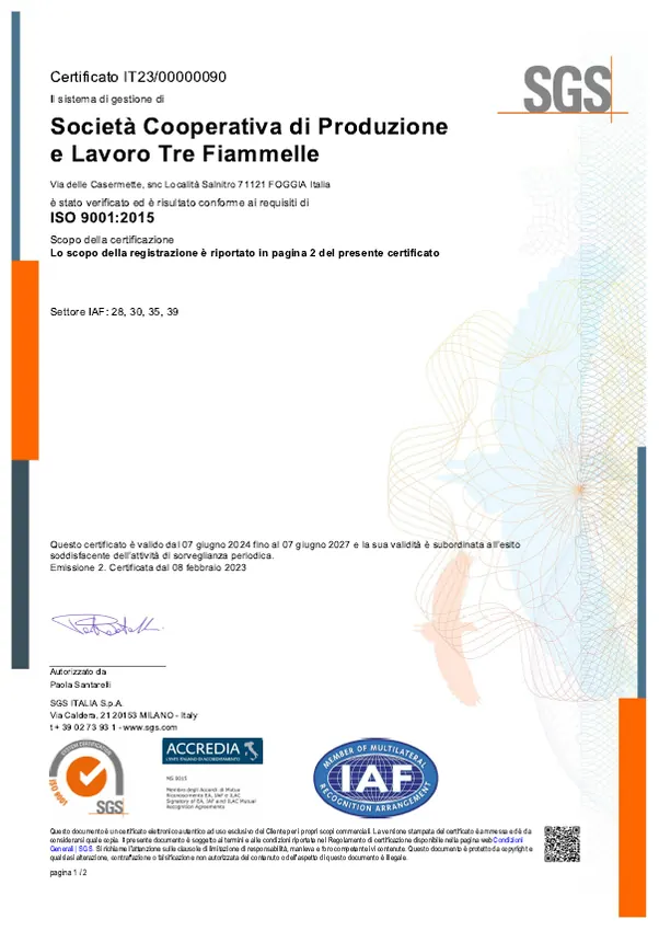 Anteprima ISO 9001